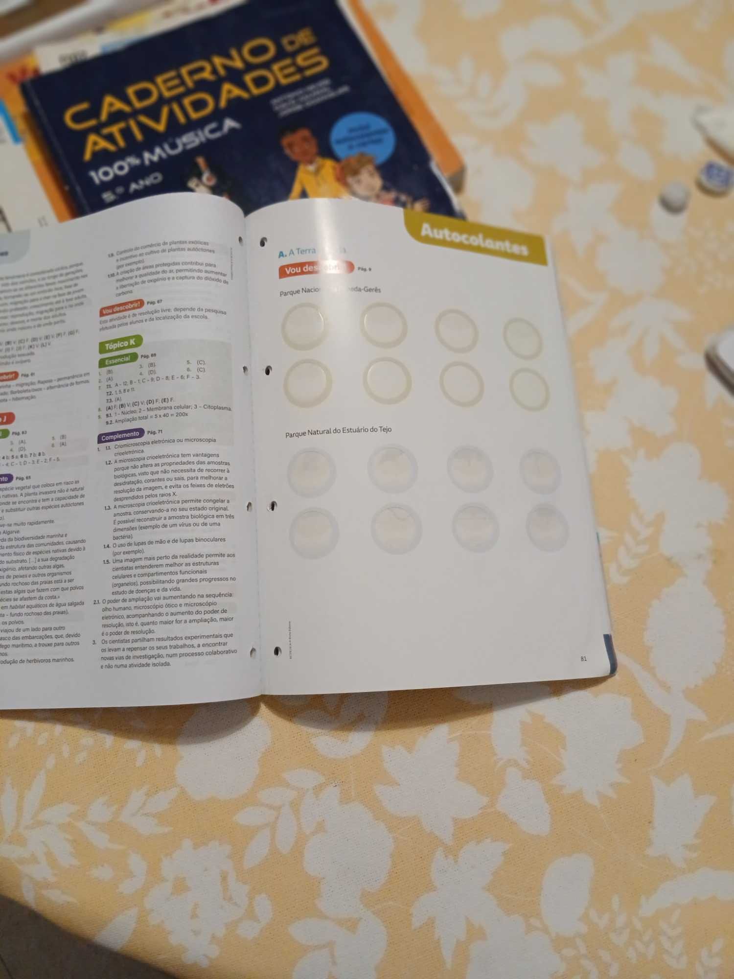 Caderno de atividades Ecocientic 5.ano