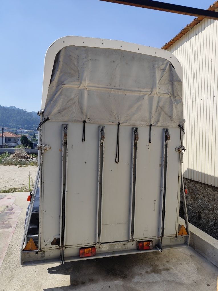 Rolote 2 cavalos