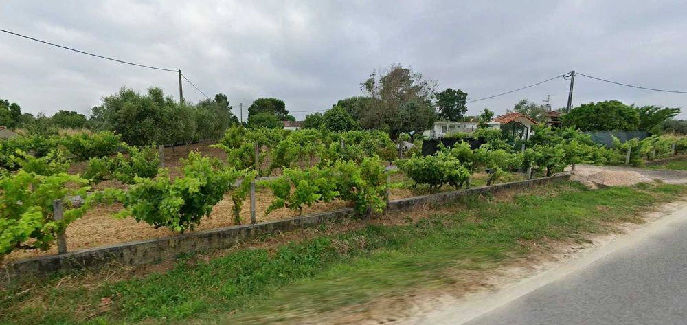 Terreno Rural com Construção