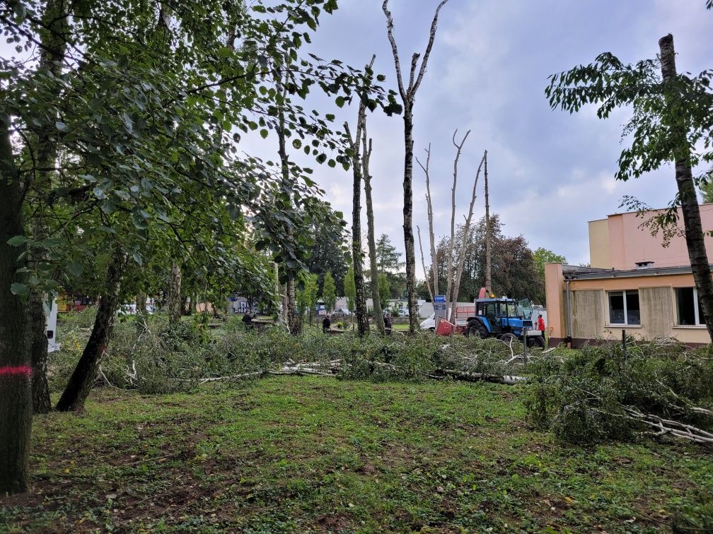 Wycinka Drzew Usługi Rębakiem rozdrabnianie gałęzi Łupanie drzewa