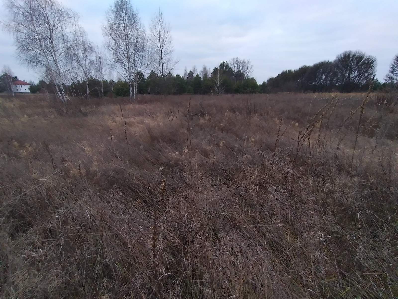 Продам земельну ділянку