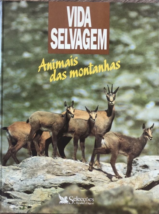 Animais das montanhas