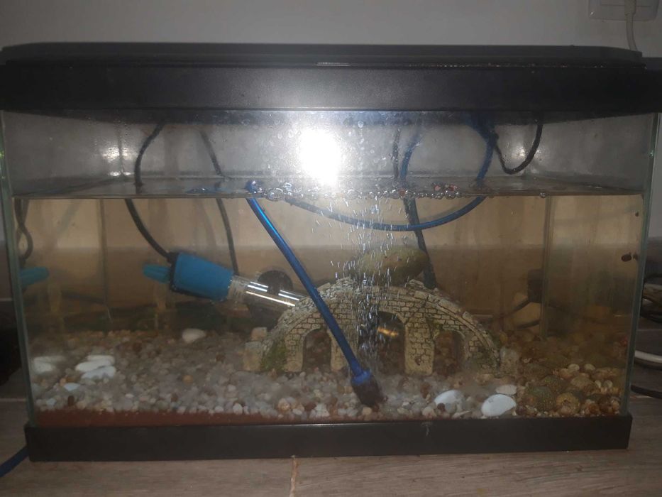 Aquário de 19litros