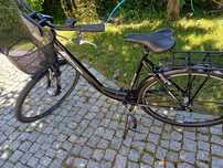 Rower Triumph WS 817
