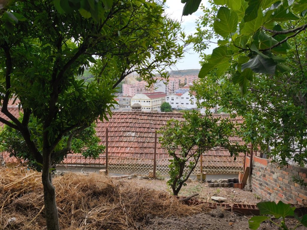 Terrenos com casas para construir
