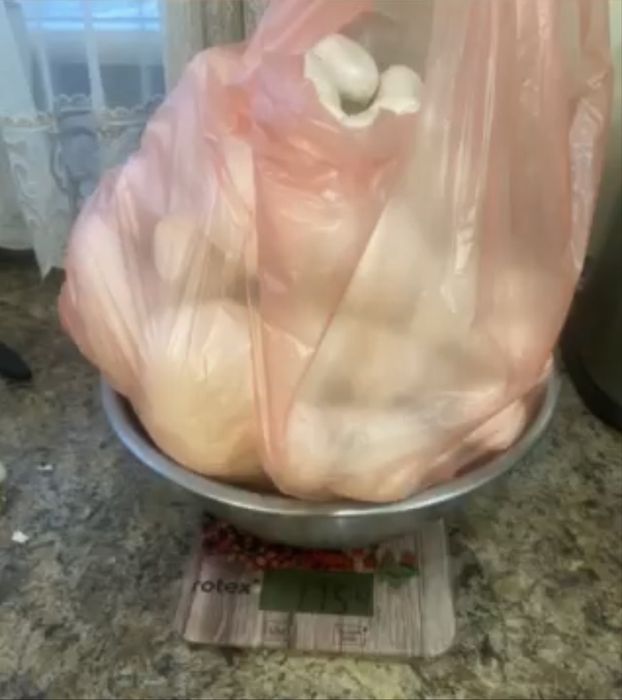 Набір для вирощування печериць вдома