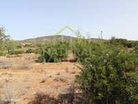 Terreno Rústico em Quelfes, Olhão - 4.480m²