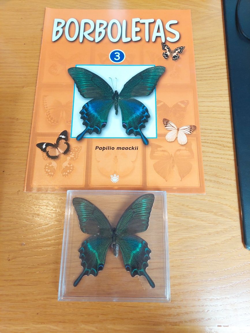 Coleção completa 50 borboletas,  mais 2 expositores!