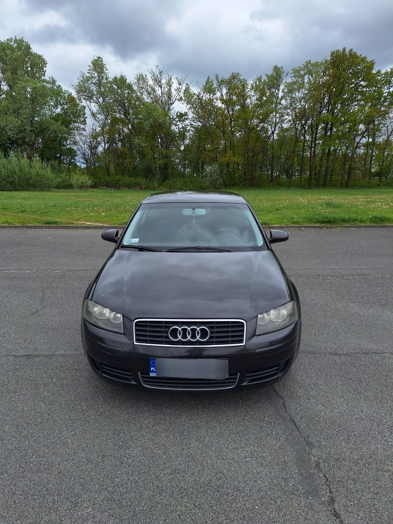 Audi A3 8P 1.9 TDI