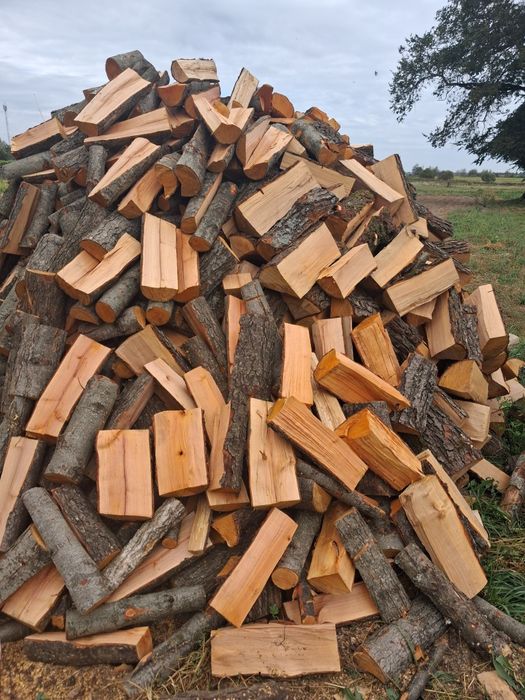 Купить дрова різних порід з доставкою