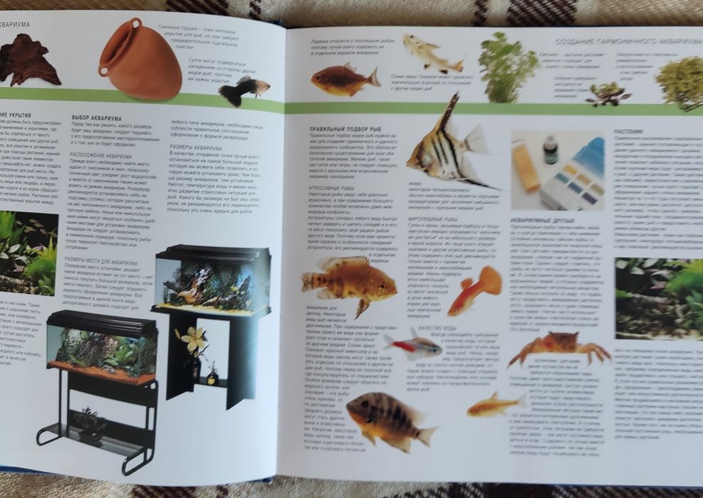 Книга "Аквариумный дизайн | Мэттью Кристиан"