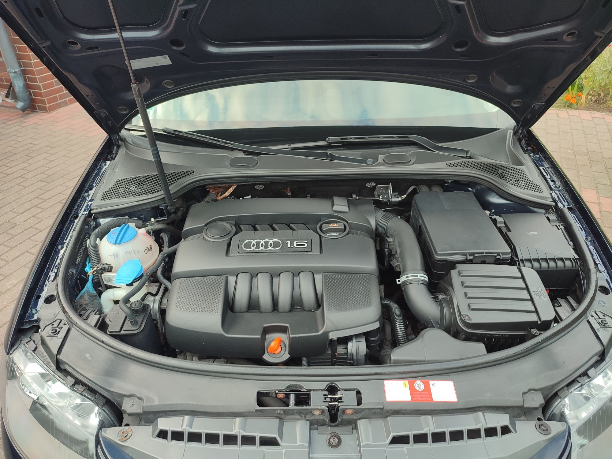 Audi A3 8P 1.6MPI 102KM z Niemiec