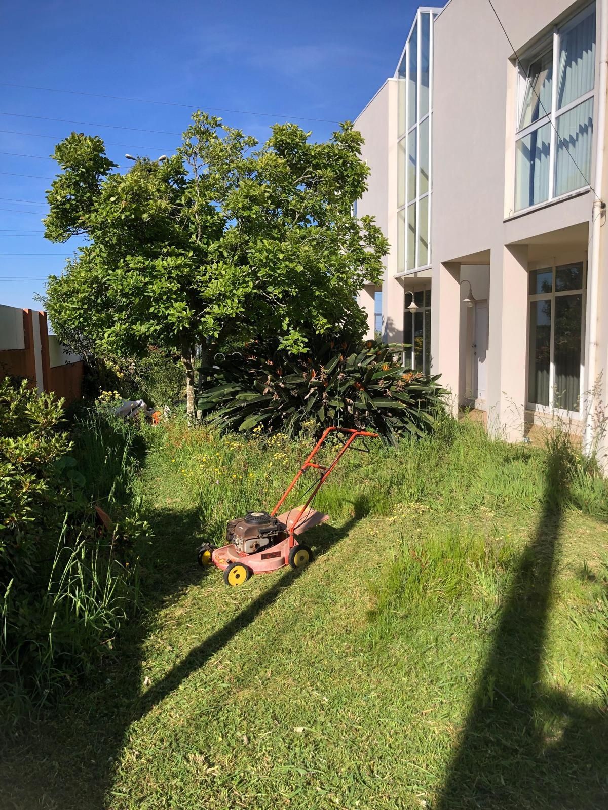 Serviços de jardinagem