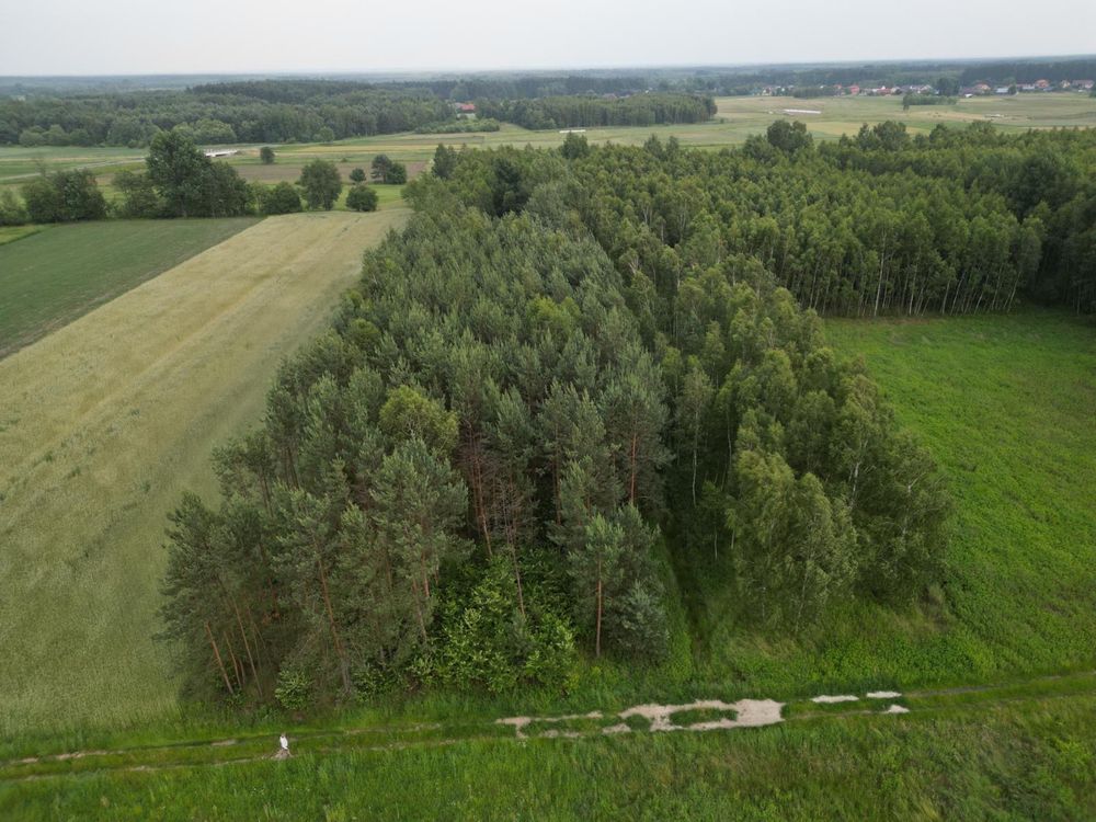 Okazja działka leśna w Ślęzakach gmina Baranów Sandomierski LAS