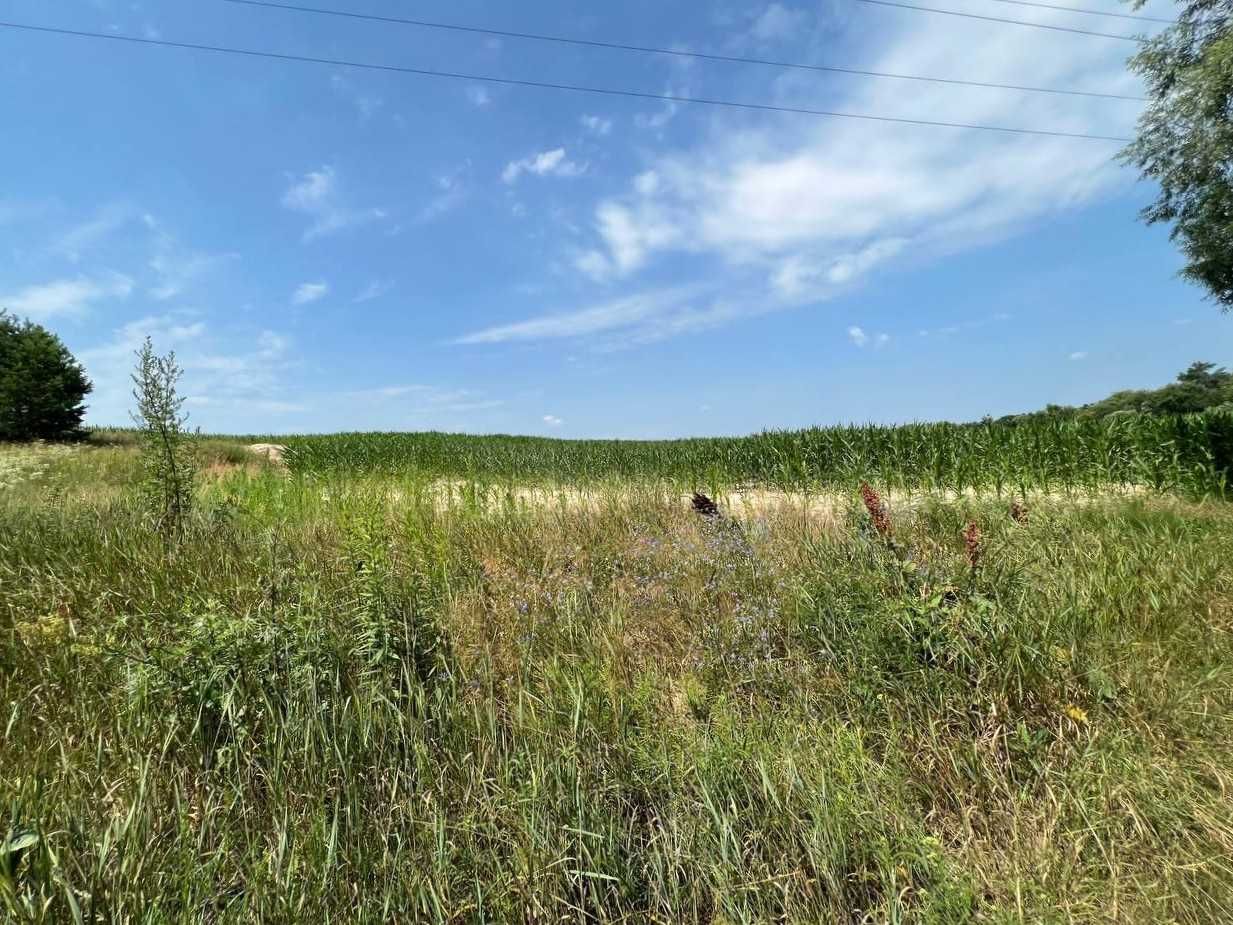 Продаж ділянки 3,11га (ОСГ). Поруч каскад озер.Фастівський р-н. ID:446