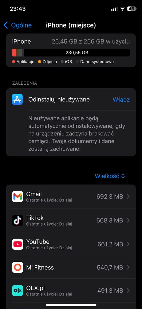 IPhone XS 256GB 100%
