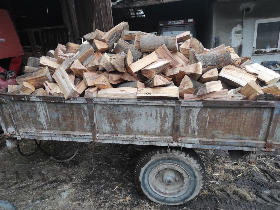 Buk,drewno suche ( pocięte i połupane)