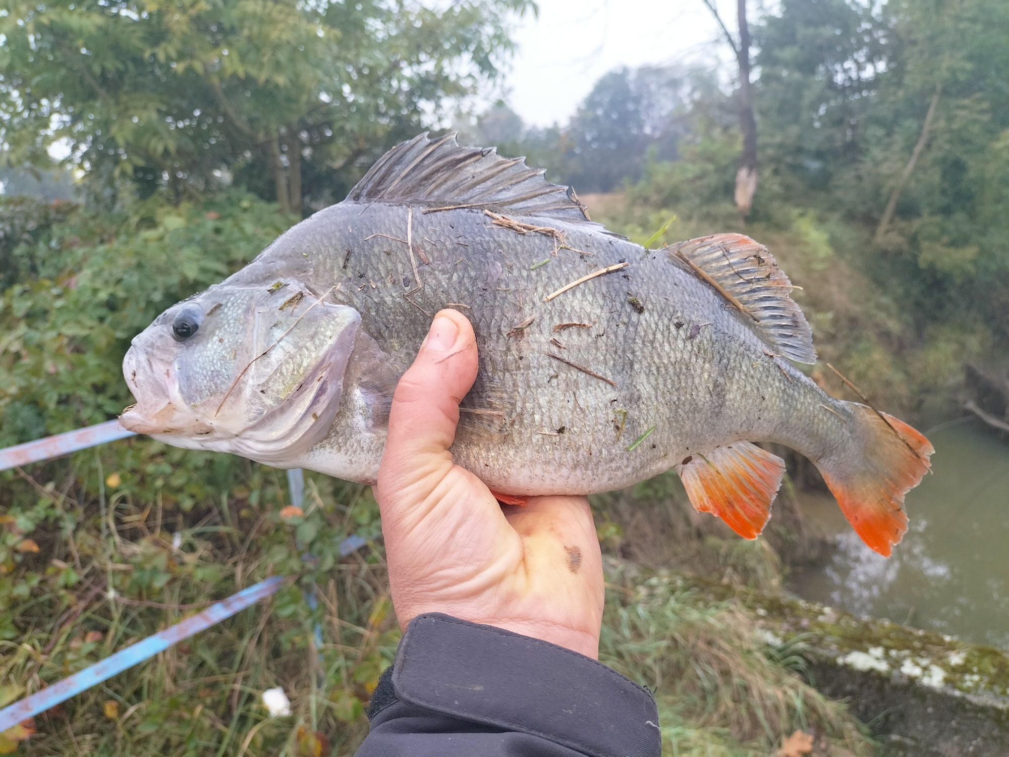 Przynęty na okonia 170 szt+ głowki+pudełko i plecionka