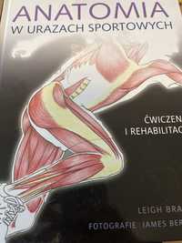 Anatomia w urazach sportowych