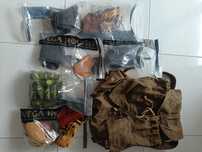 Coldres Vega Holster, Sticks Camuflagem, Mochila Suiça