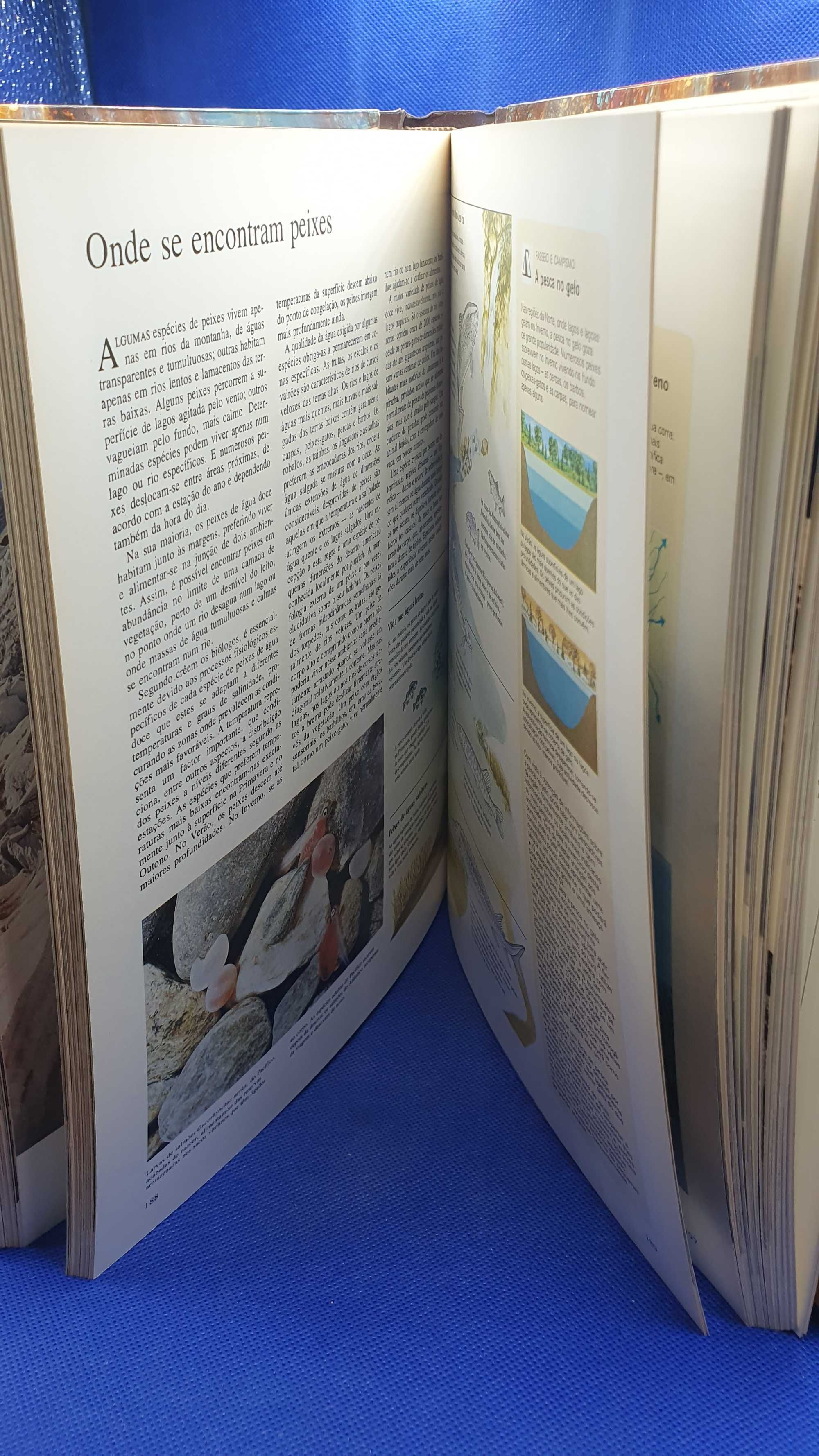 Livro - REF PVSO - Selecções Reader´s Digest - Ao Encontro da Natureza