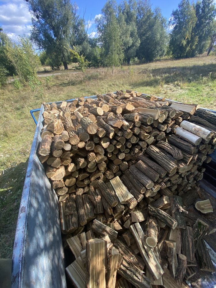 Продам дрова різних порід сосна береза дуб граб вільха