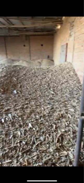 Щепа древесная твьордых пород