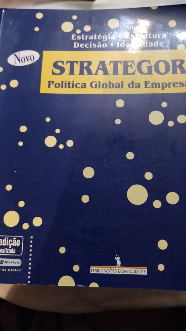 Strategor, Política Global da Empresa