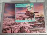 Puzzle 1000 peças
