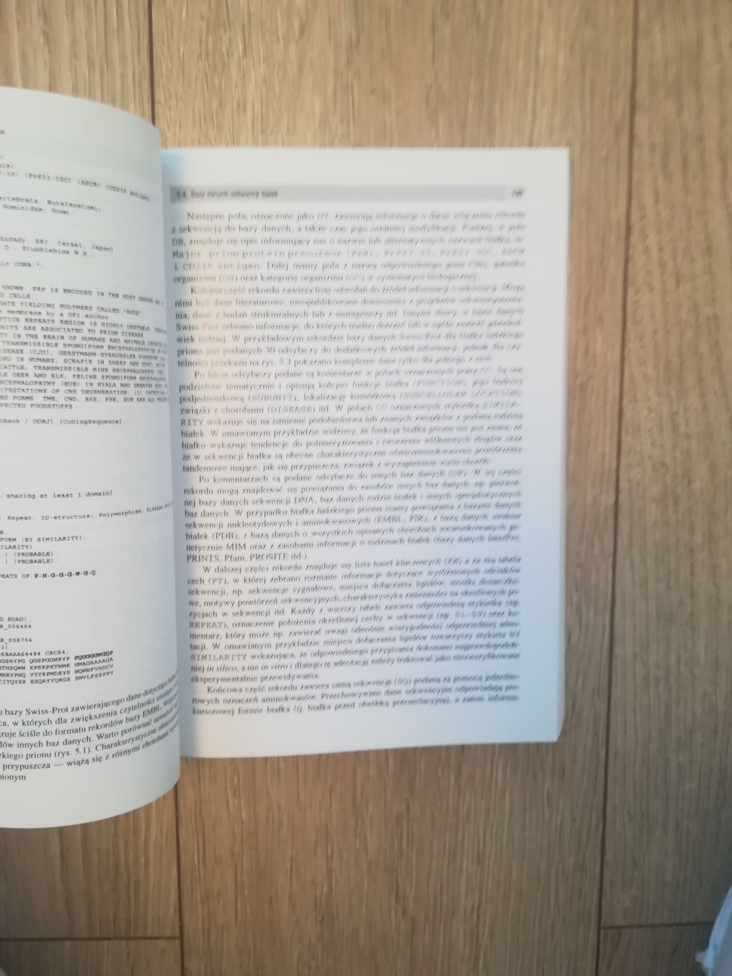 Bioinformatyka i ewolucja molekularna - Paul G. Higgs, Teresa K. A