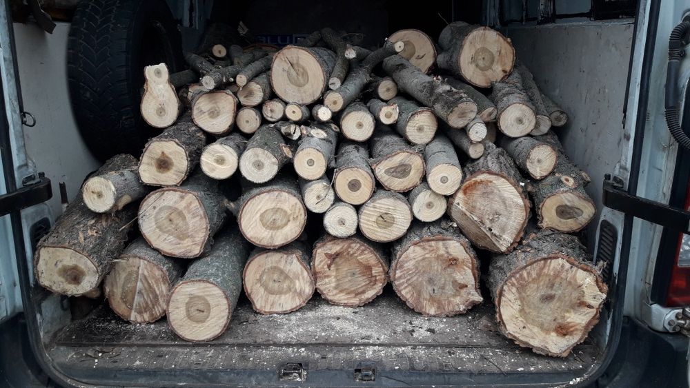 Клен, тополь ясен вишня ябоуня абрикос