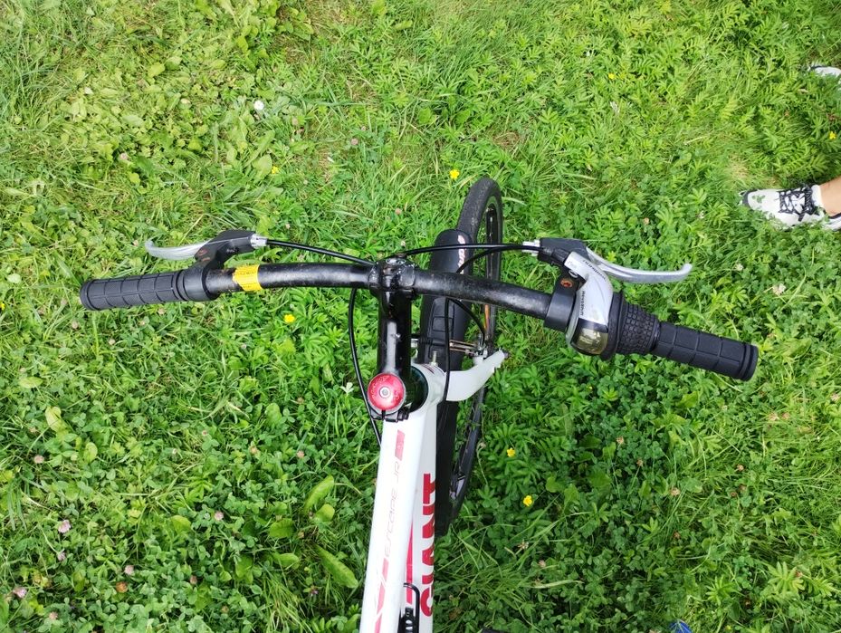Rower GIANT ESCAPE JUNIOR na kołach 24" - rama aluminium - Shimano 1x7