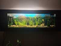 Akwarium wiszące ok40l