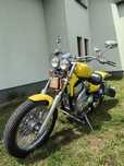 Suzuki intruder vx51l
