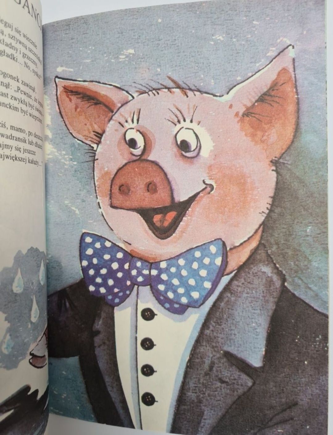 Ptasie Mleko - Hanna Łochocka. Książka