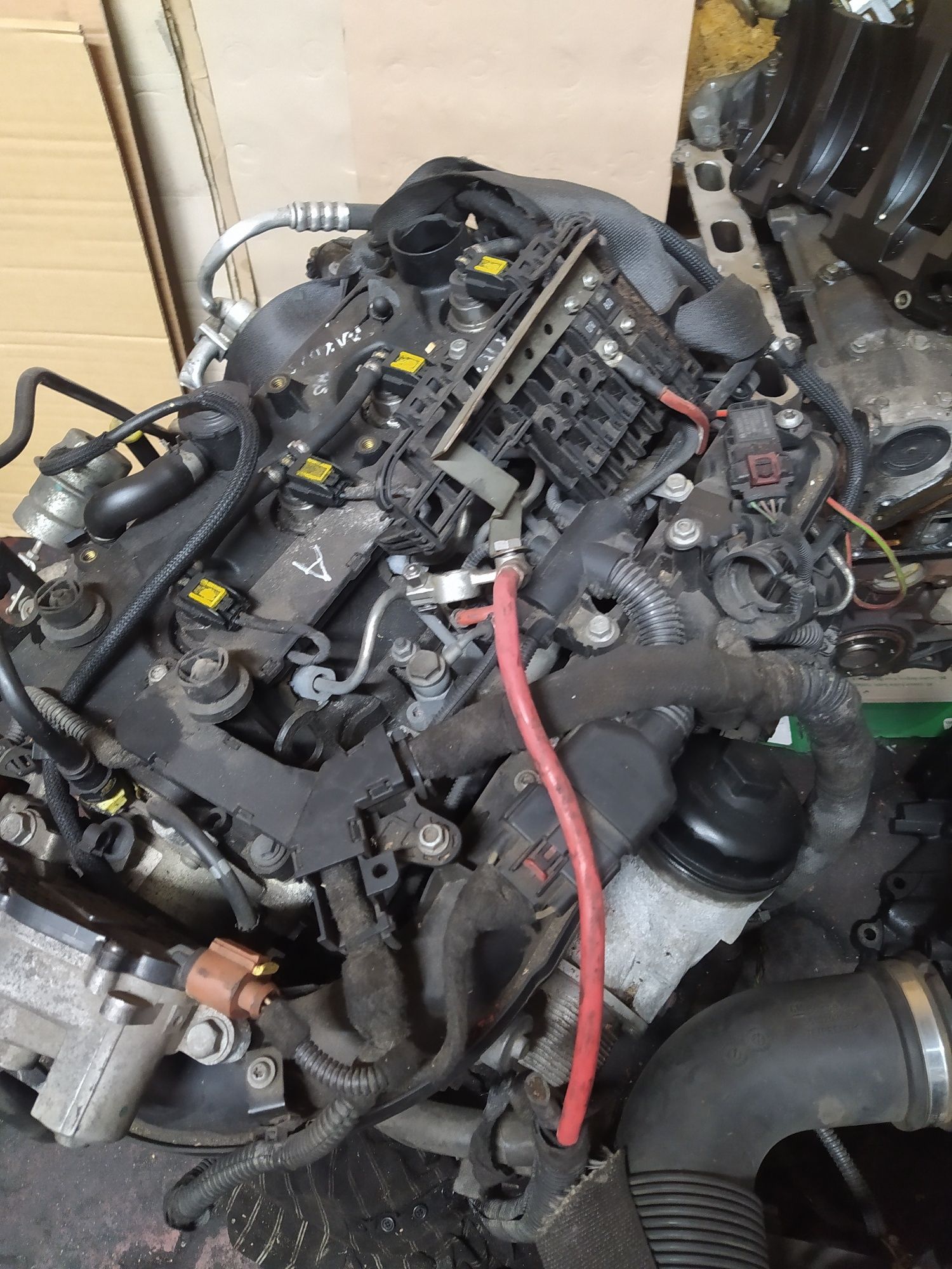 Мотор двигун двигатель Опель 1.7 opel zafira denso астра зафира