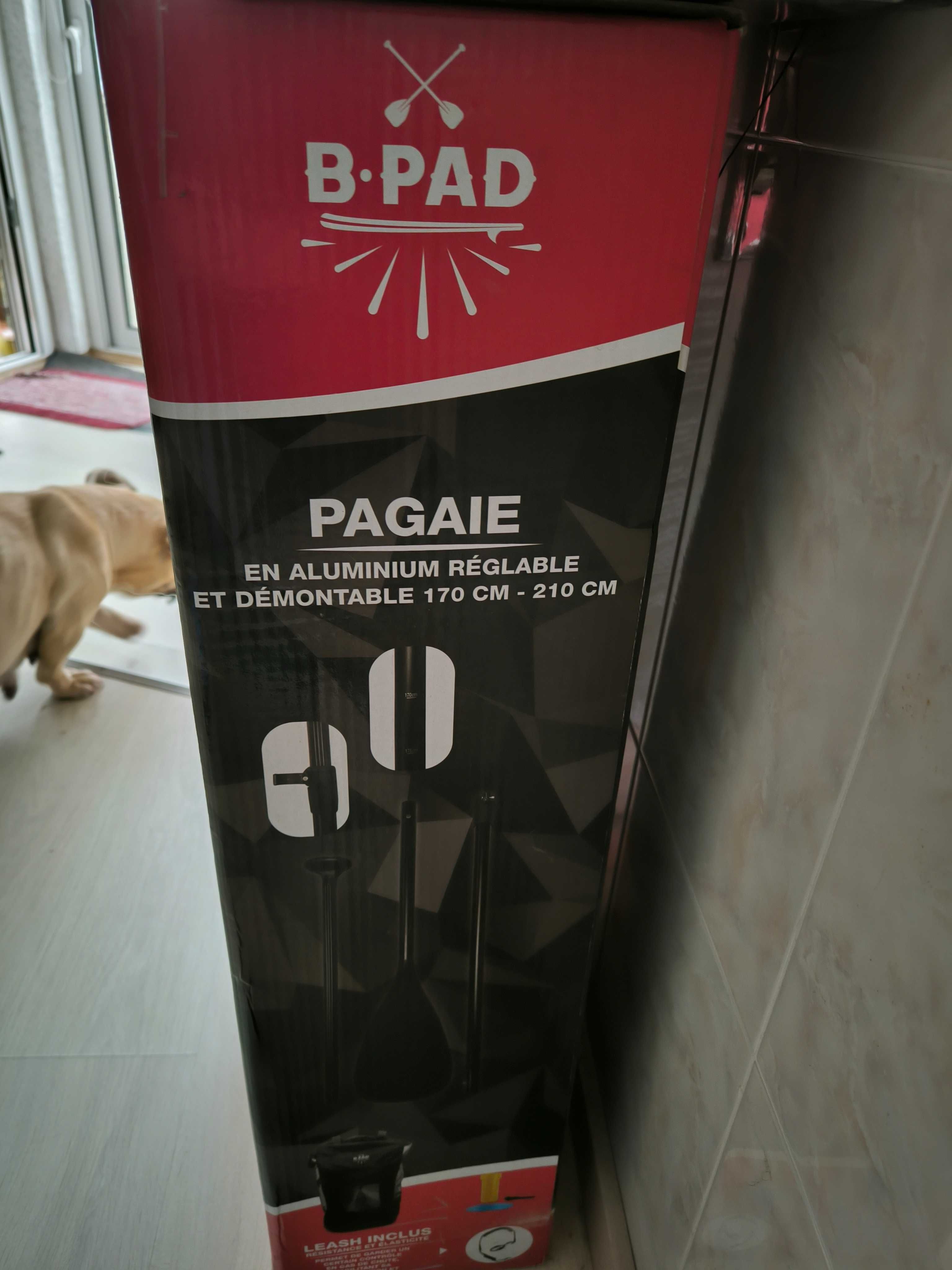 Paddle novo,na caixa