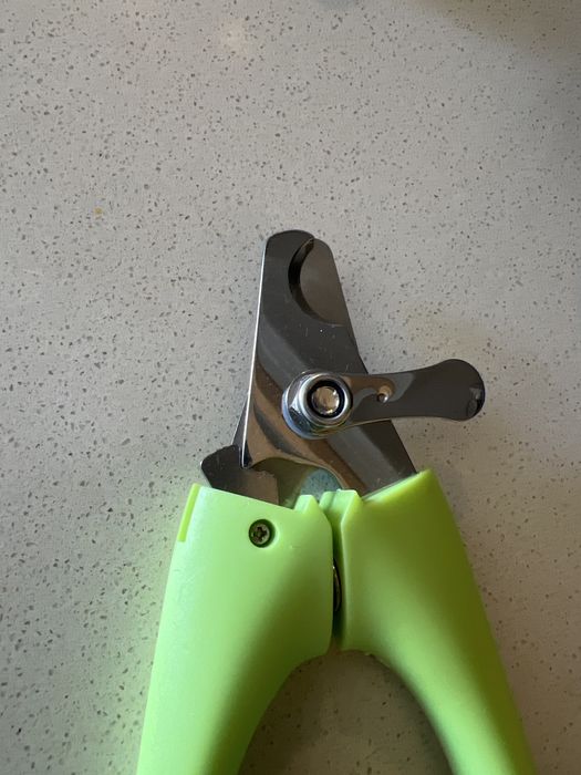 Tesoura unhas cão gato papagaio