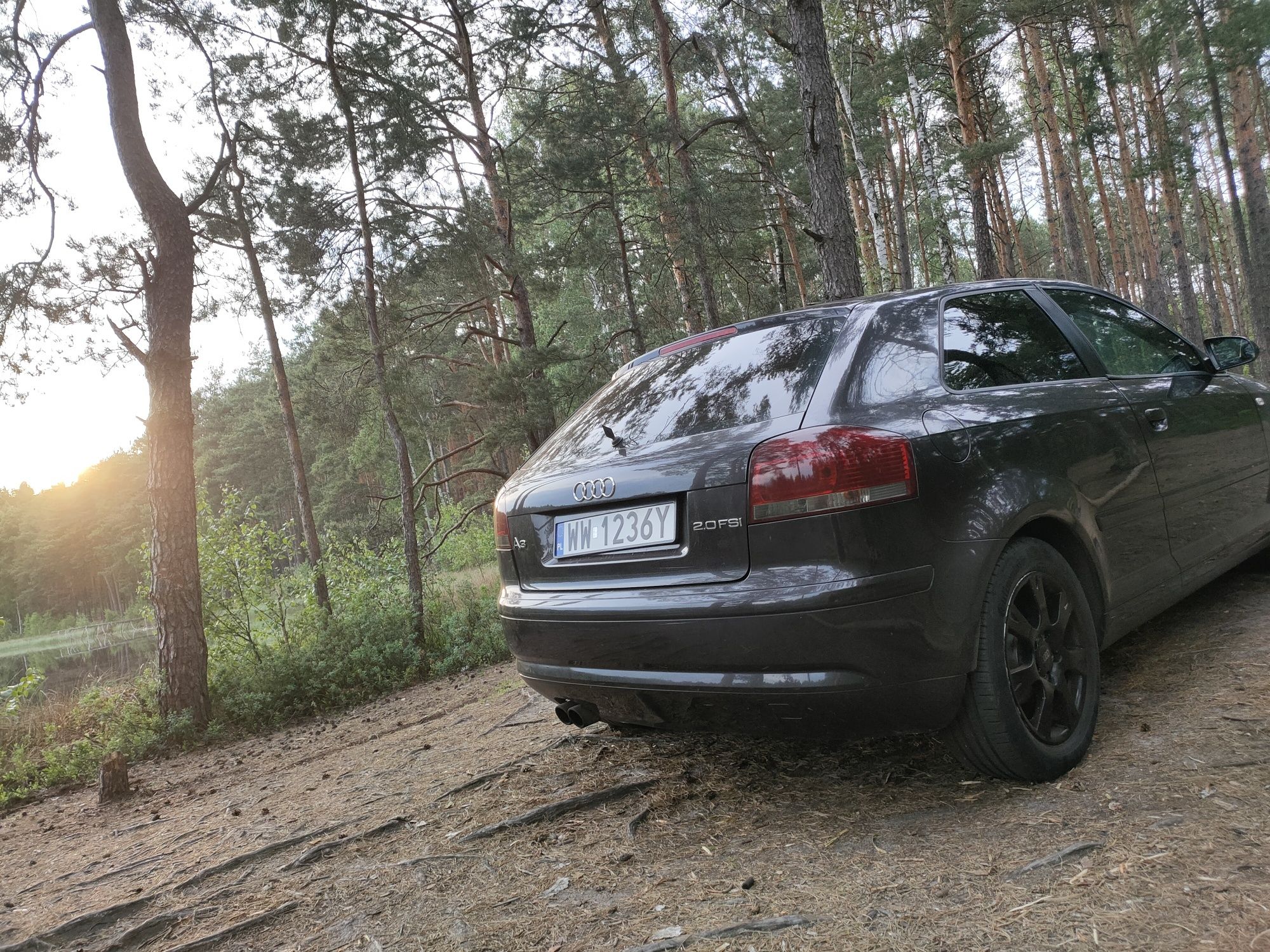 Audi a3 8p 2.0fsi