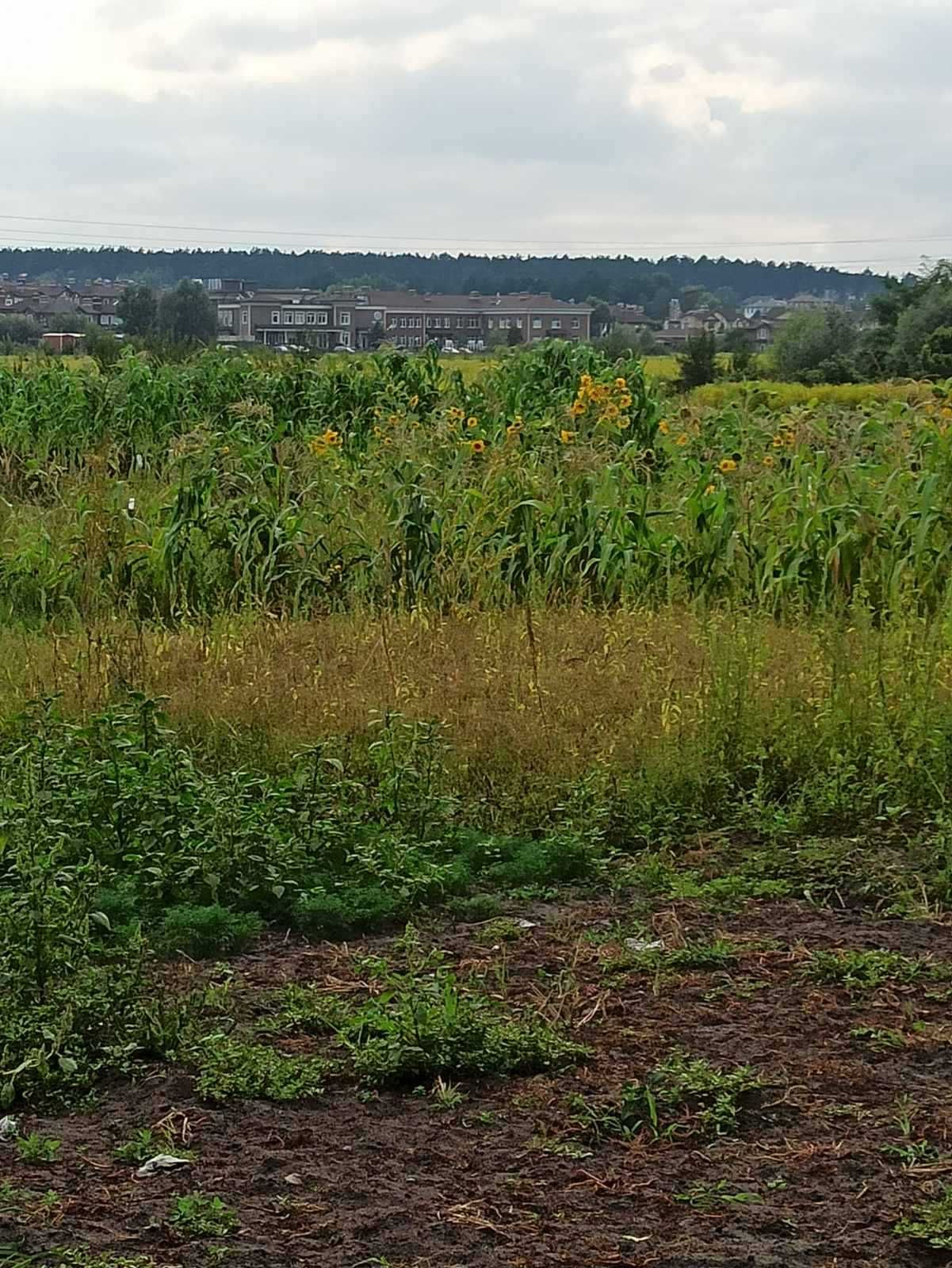 Юрівка 13 соток  під забудову будинку(таунхауса).