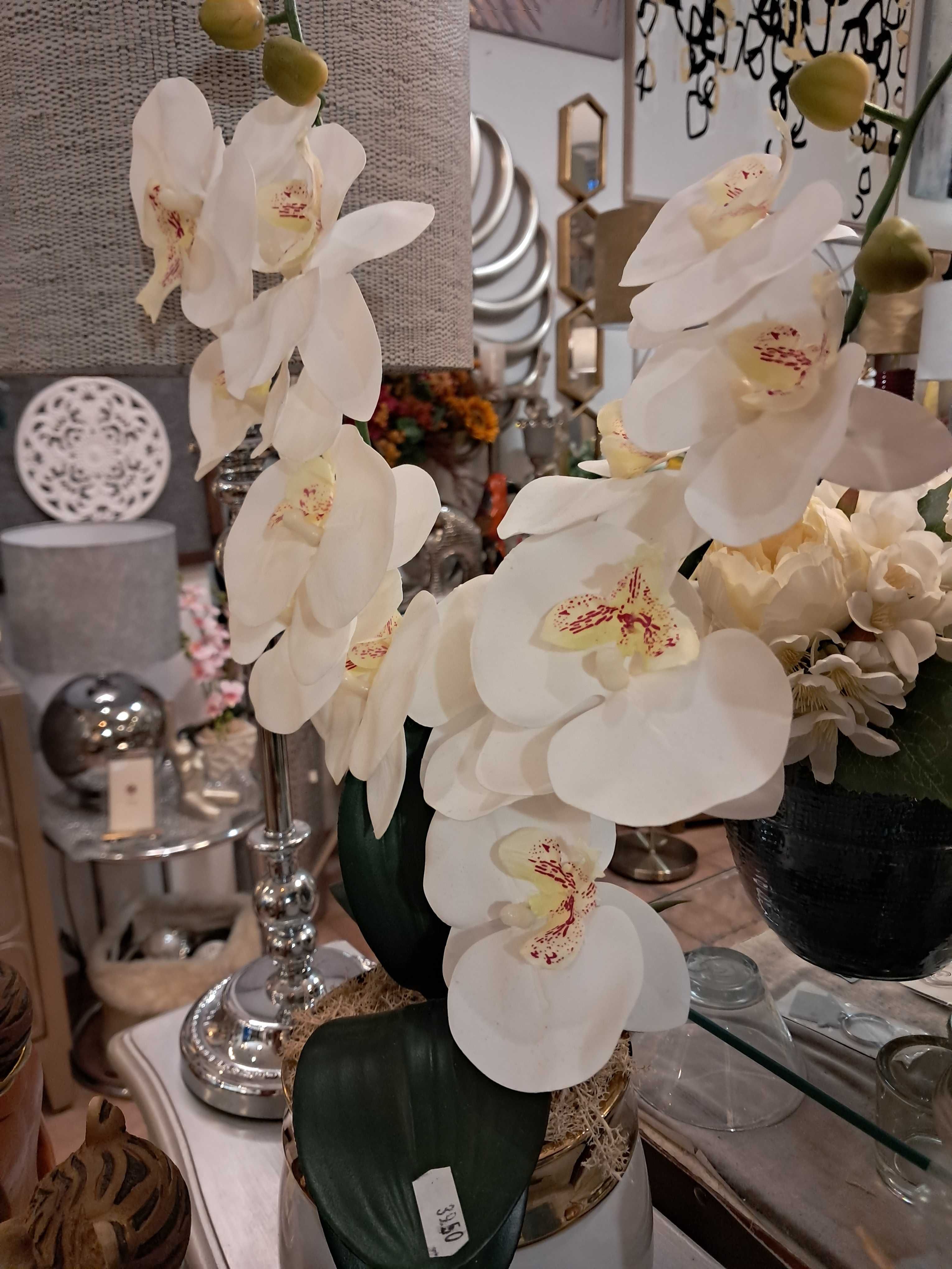 Orquídea altificial