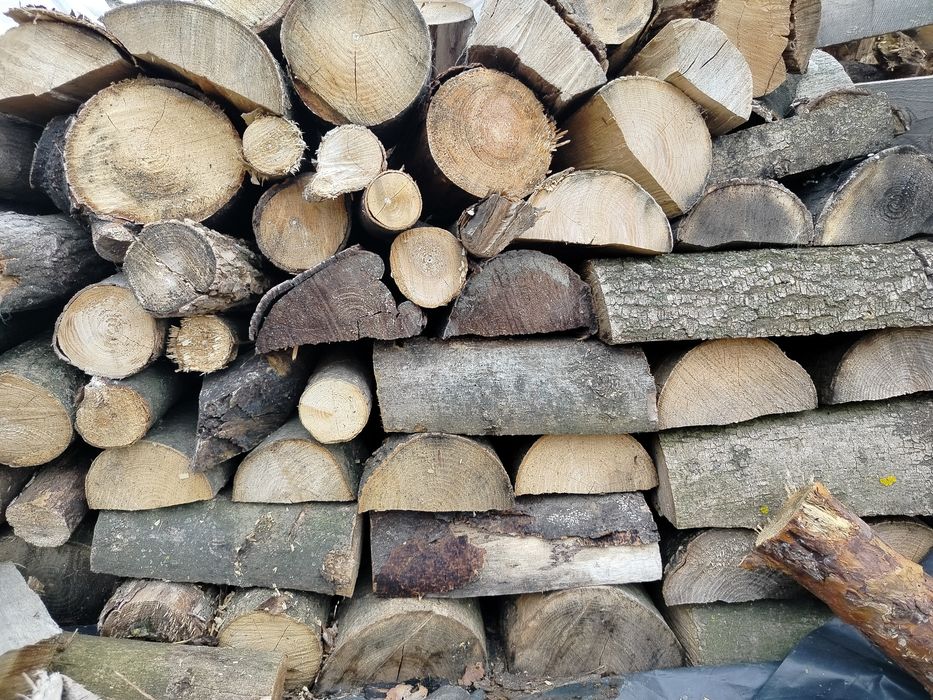 Drzewo kominkowe ( usługi leśno porządkowe)