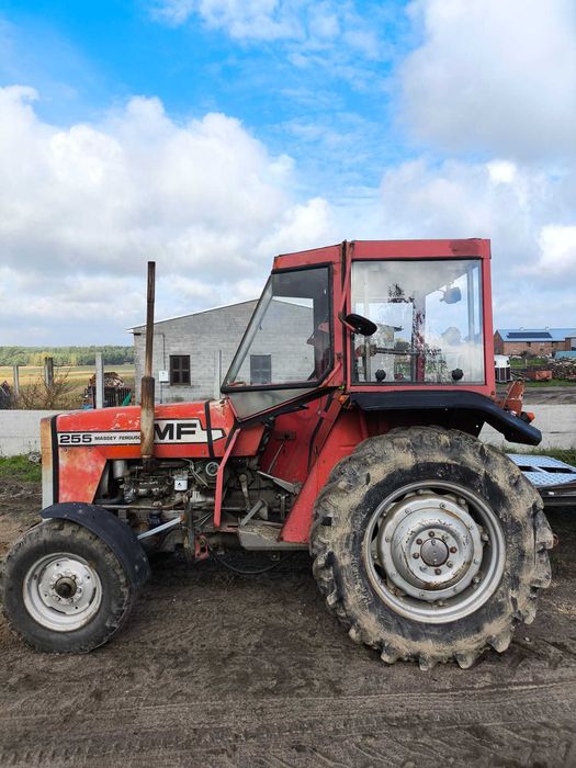 Massey Ferguson 255 MF Ursus 3512 ciągnik rolniczy 235 traktor 2812
