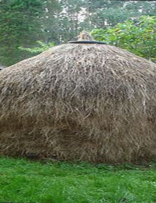 Продам сіно  1,5 т не в тюках.