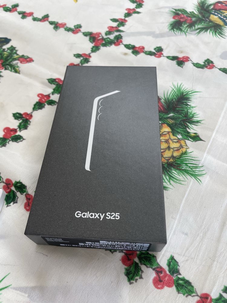 Samsung Galaxy S25