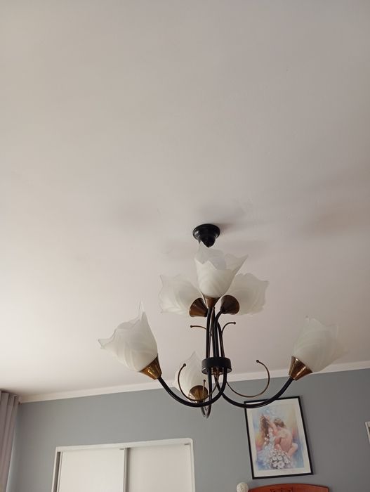 Żyrandol czarny z białymi kloszami