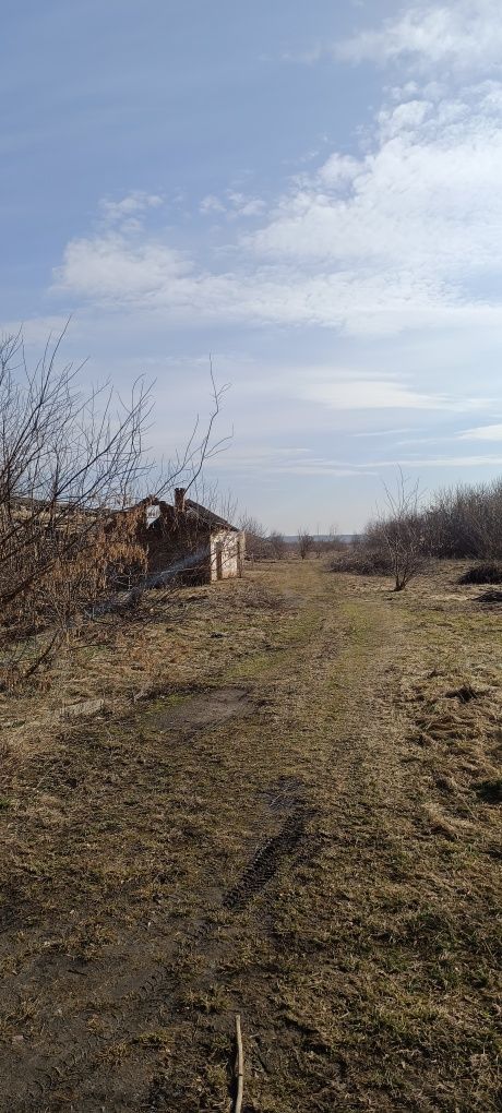 Комплекс будівель ферми.