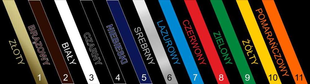 Metalowa tablica tabliczka SOŁTYS WÓJT 50x15 cm