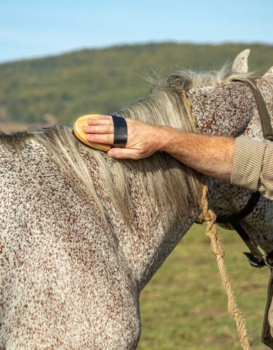 Szczotka z mosiężnego i nylonowego włosia do skóry i sierści Konia