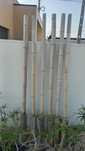 Canas de Bambu com 2m